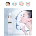 Private Label Großhandel Anti-Aging Feuchtigkeitsspendende Vegan Bio Whitening Hautpflege Rosenwasser Großer Hauttoner für Gesicht Gesichtstoner Kosmetik